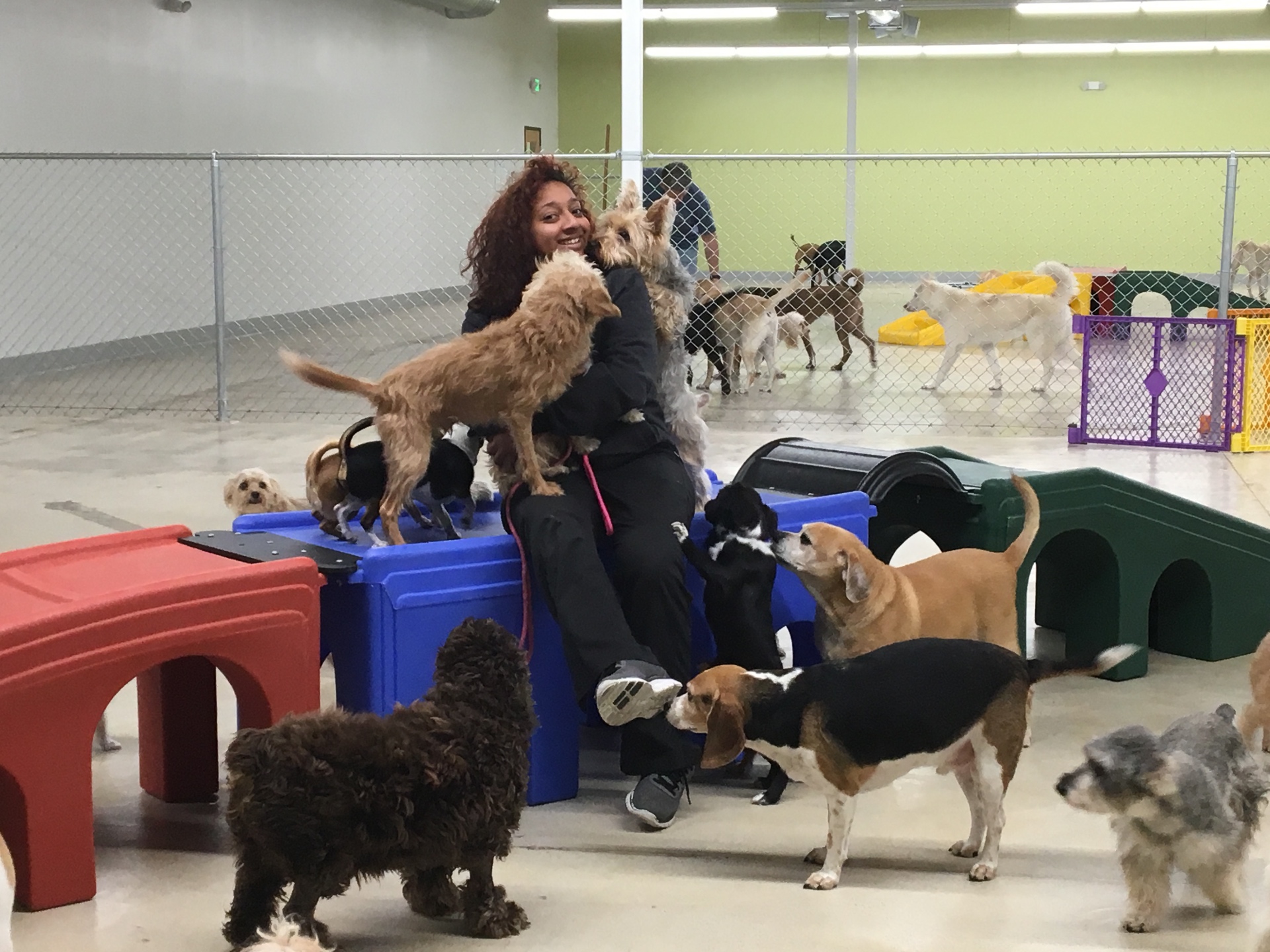 Supervised Play